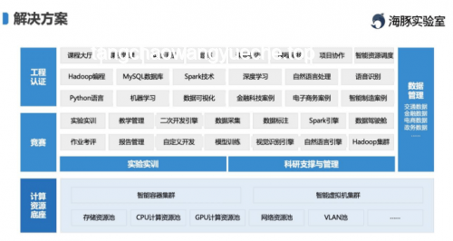 杭州一泡泡玛特开业当天闭店问题解决策略